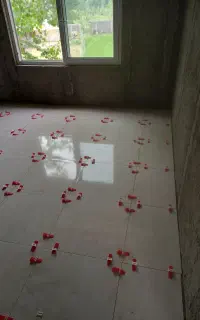 کاشیکاری