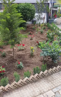 خدمات باغبانی کاشت گل باغچه کاری تعویض خاک هرس