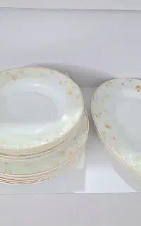 سرویس ارکوپال نو