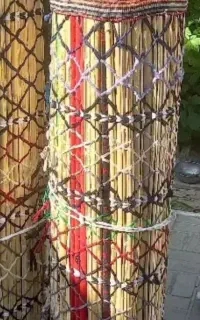 چیت