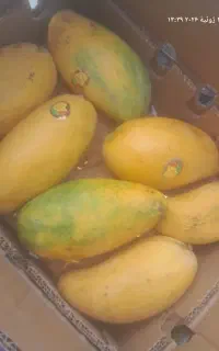 انبه درجه یک