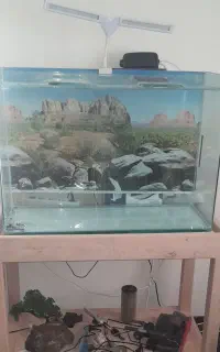 اکواریوم