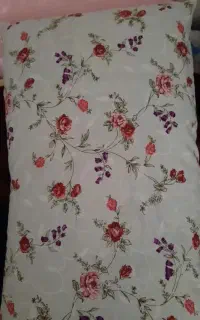 بالش