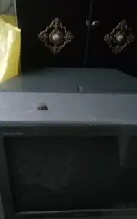 تلویزیون