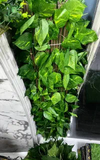نرده برگی دیوار سبز