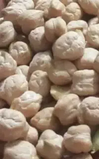 نخود تازه