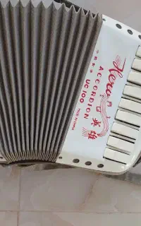موسیقی