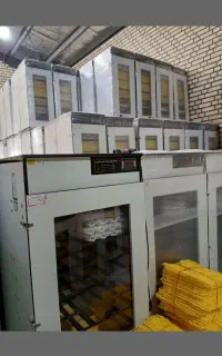 دستگاه جوجه کشی-پرنــدگان زیـنتیـtaq۰۰