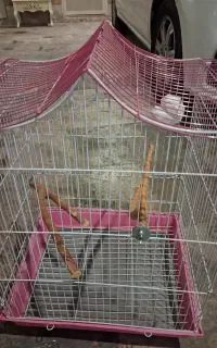 قفس پرنده طوطی