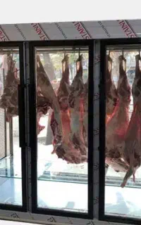 نیازمند شریک برا قصابی