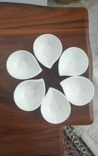 ظروف سرو
