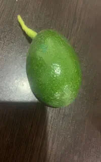 حراج اووکادو وبرگ بو کلکسیونی