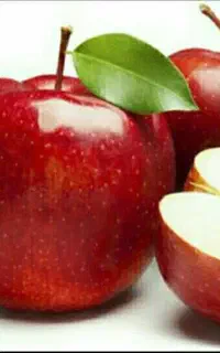 فروش جو دولتی و گندم و فروش کود اوره