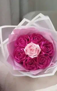 رزگل جاوید