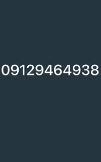 09129464938