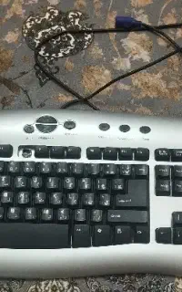 کیبورد کامپیوتر کاملاً سالم و تمیز