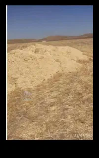 کاه در دیواندره