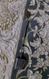 فلش
