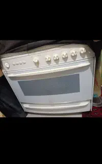 فرگاز