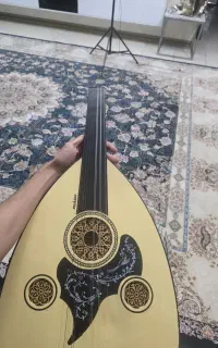 عود کامرانی
