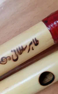 نوای دل