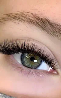 به یه مژه کار با سابقه و با مشتری نیاز داریم
