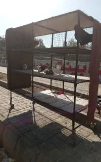 قفس کاسبی سه طبقه محکم
