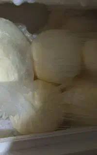 کره حیوانی محلی روستای رئین بجنورد