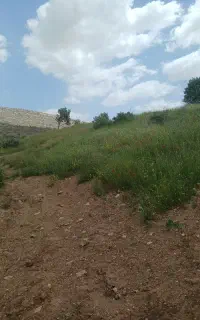 کارگر کشاورزی