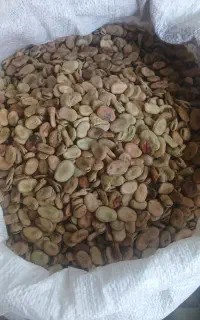 باقلا خشک