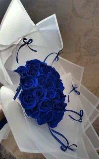 گل روبانی دلی