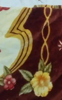 یک ع د د پتو دو ن ف ر