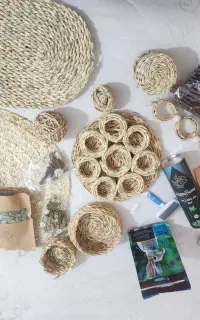 خرگوش نر ۶ماه
