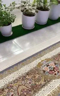 محافظ ریشه فرش
