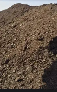 کود مرغی  خشک