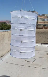 توری سبزی ومیوه خشک کن
