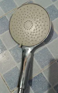 سر دوش نو نو