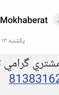 تلفن ثابت بدون زنگخور