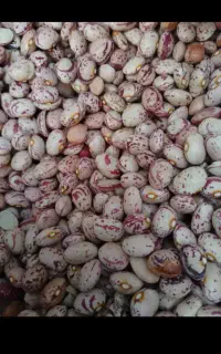 نیازمند کارگر