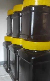 عسل