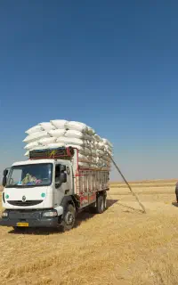 کاه کردستان دهگلان