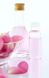 گلاب محمدی