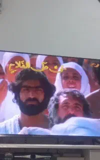 تعمیر و نصب. آنتن. شبکه یابی تلویزیون