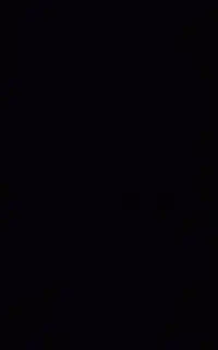 09141144118