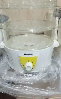 بخار پز