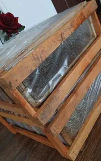 عسل