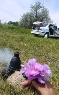 تا دوسه روزدیگه میرم کرمان