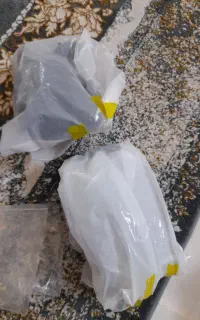 پی اس ۲