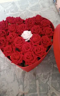 گل مصنوعی وباکس گل