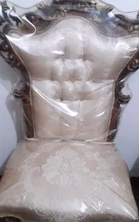 ۲عدد میزبان درحد نو